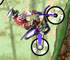 dirt bike championship